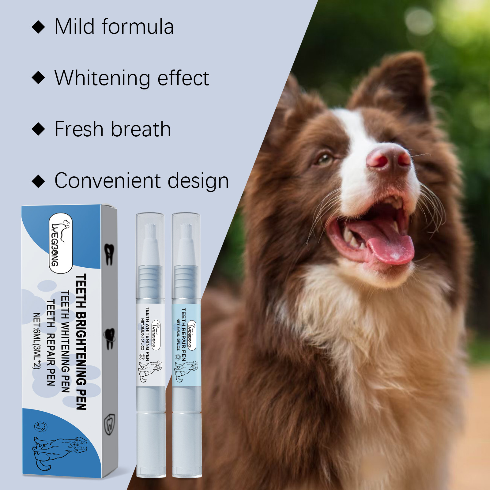 Ensemble de stylos blanchissan - Teeth Whitening Pens avis et prix