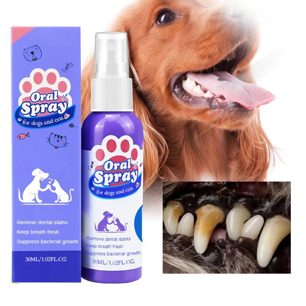 Spray buccal pour animaux de c - Teeth Whitening Mouthwash avis et prix